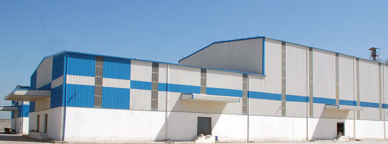 Industrial Civil Construction, Structural Steel Building